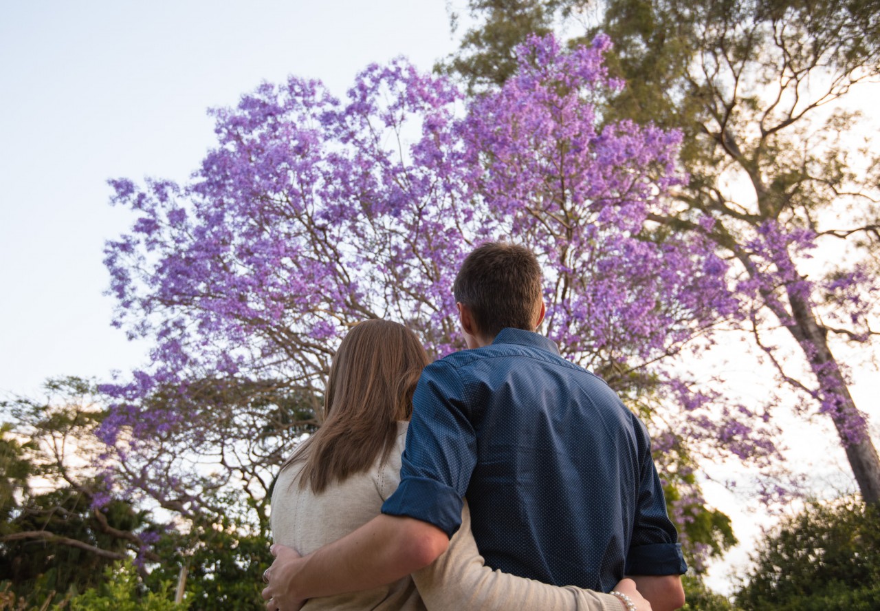 Nicholas and Theresa under a Jacaranda tree at Mt Coot-Tha Botanical Gardens